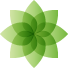 Naiku Trend